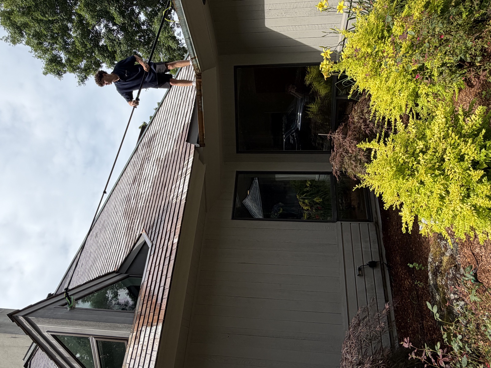 Clear View technician pole-cleaning windows from a cedar roof, Connecticut
